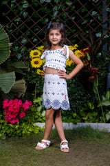 Schiffli Blue Embroidery Crop Top and Skirt Co-ord