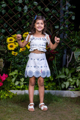 Schiffli Blue Embroidery Crop Top and Skirt Co-ord