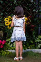 Schiffli Blue Embroidery Crop Top and Skirt Co-ord