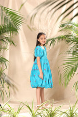 Blue Flamingo Embroidered Balloon Dress