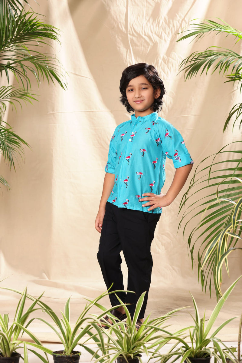 Blue Flamingo Embroidered Raglan Sleeve Mandarin Collar Shirt