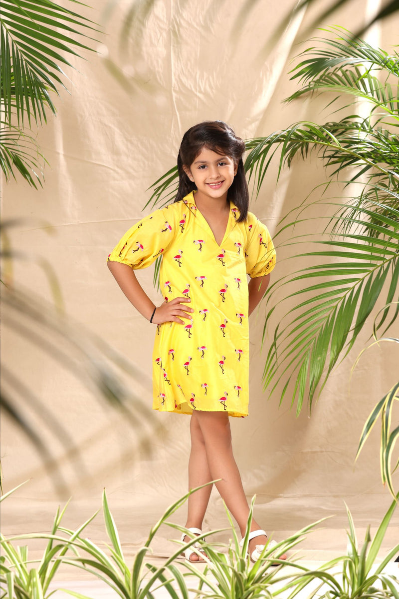 Yellow Flamingo Embroidered A- Line Collar Dress with Baloon Sleeve