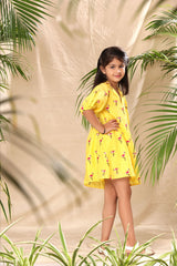 Yellow Flamingo Embroidered A- Line Collar Dress with Baloon Sleeve