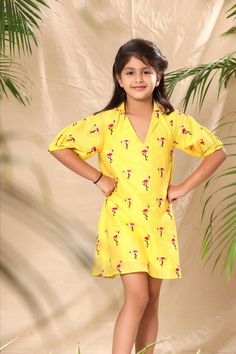 Yellow Flamingo Embroidered A- Line Collar Dress with Baloon Sleeve