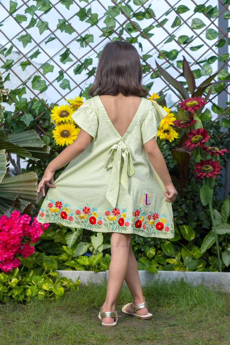 Mini Garden Embroidery Dress