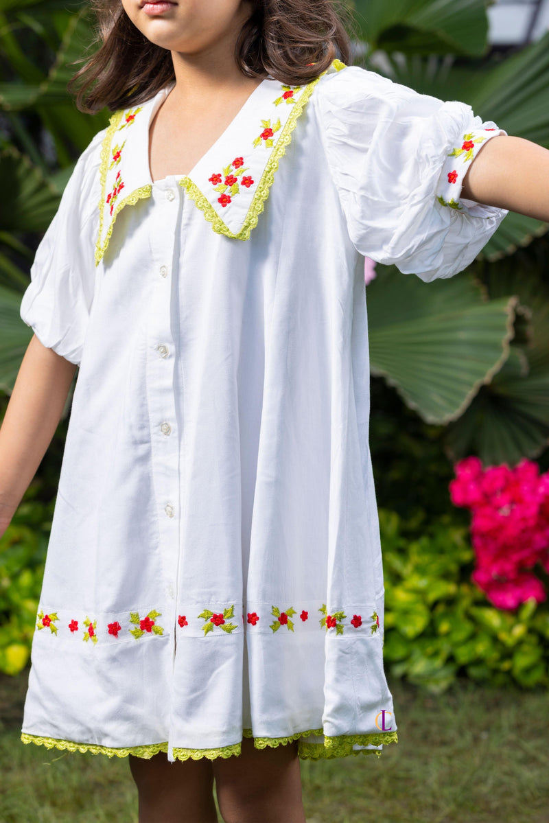 Chelsea Collar Floral Embroidery White Dress